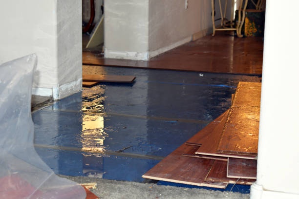 Professional Burst Pipe Cleanup technician working in Westwood, KS